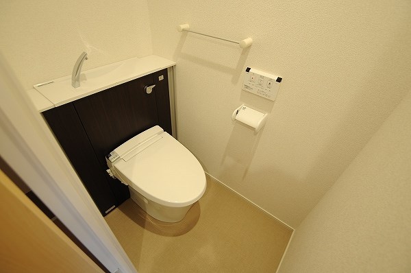 エヴァーグリーンQ その他2
