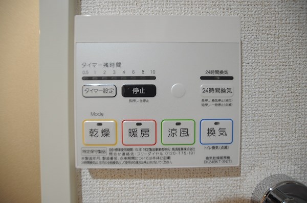 エヴァーグリーンQ その他20