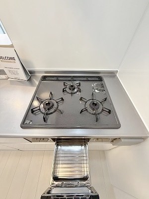 Alltid glad fargerik（ｱﾙﾃｨｸﾞﾗﾌｫｰｹﾞﾘｯｸ） その他25