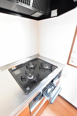 ルーブル黄金 その他12