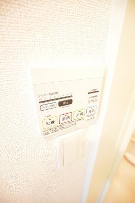 ラインハイム横代  その他4