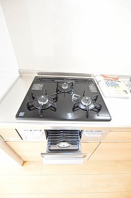 ラインハイム横代   その他12