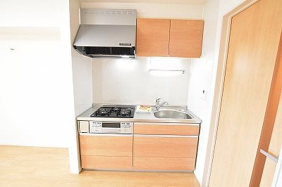 ラインハイム横代   その他13