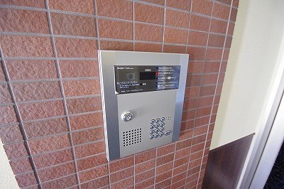 ドレスローズ その他1