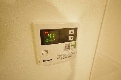 ドレスローズ その他13