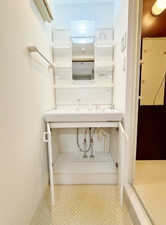 ｍａｌｖａｒｏｓａ(マルヴァローザ) その他17