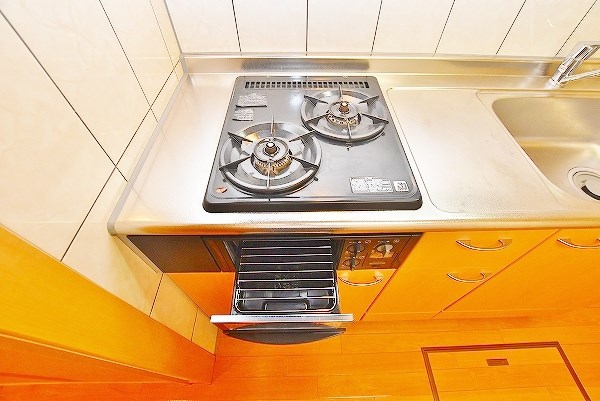 チェリーハイツ その他20