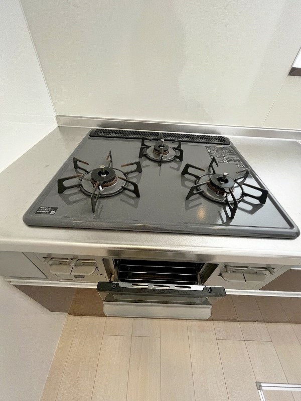 Une beau palais（ｴﾇﾎﾞｰﾊﾟﾚ）  その他22