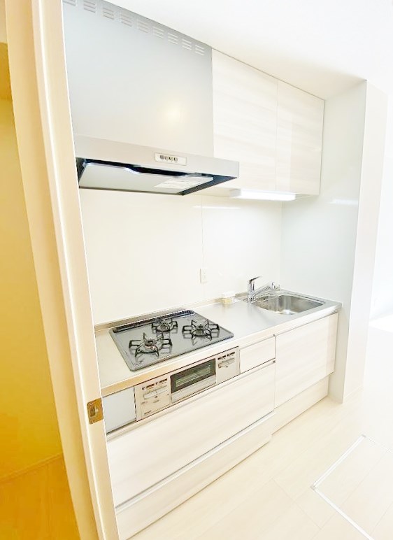 Une beau palais（ｴﾇﾎﾞｰﾊﾟﾚ）  その他18