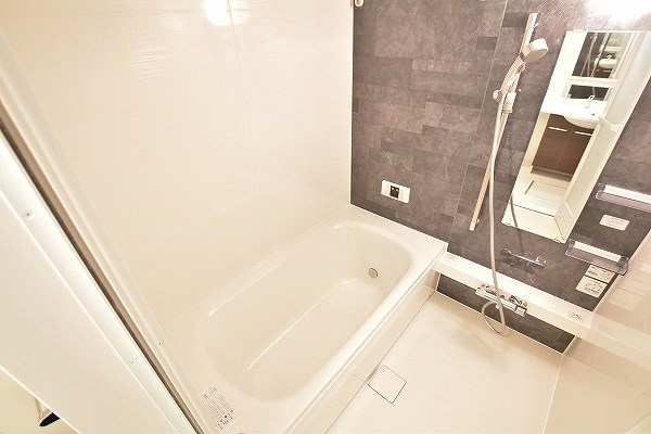 Une beau palais（ｴﾇﾎﾞｰﾊﾟﾚ）  その他34