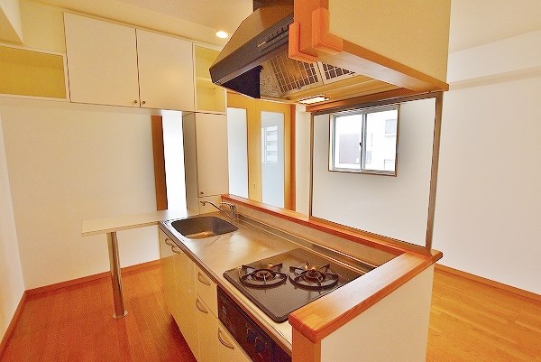 ラクーレⅤ片野 その他21