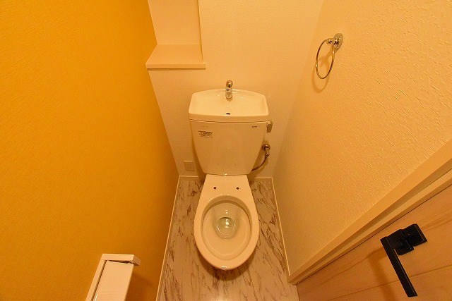 アピアランス歯大前   その他5