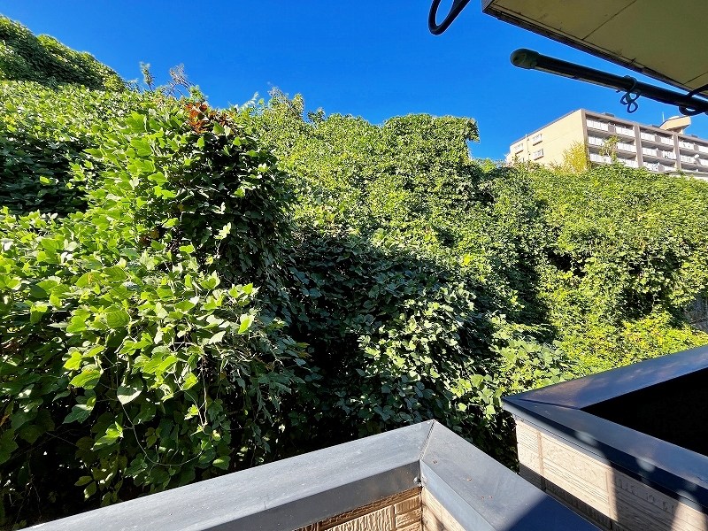 リバーライフ板櫃 その他32