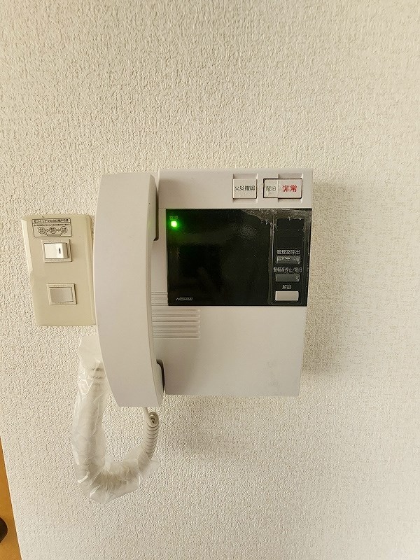 アヴィニール№5 その他3