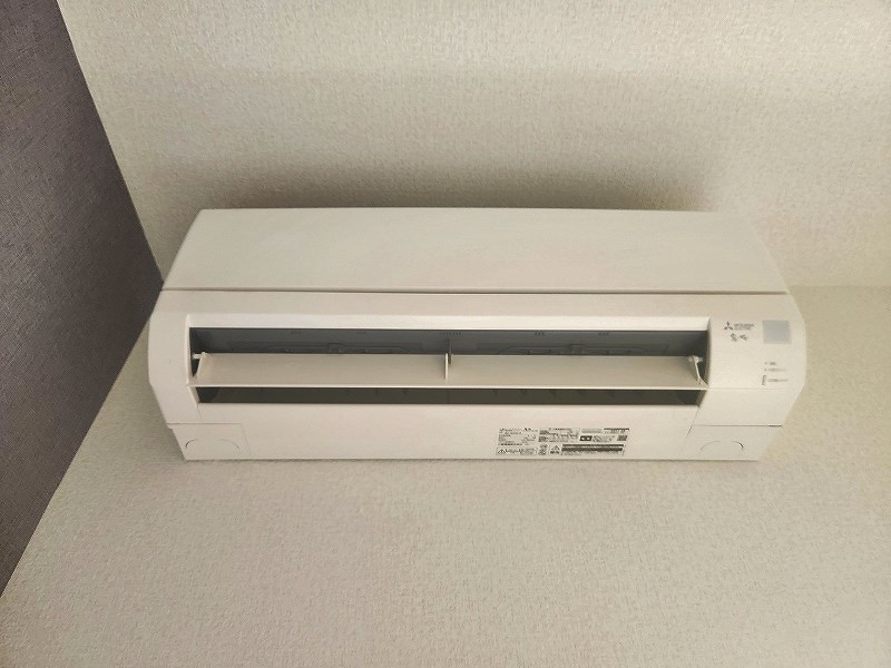 アヴィニール№5 その他6