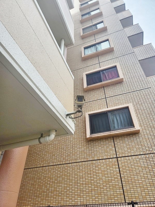 アヴィニール№5 その他外観6