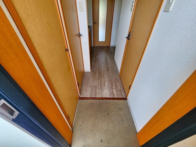 アヴィニール№5 その他12