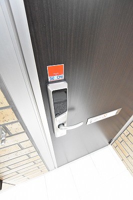 Ｃｅｒｅｚｏ．Ｏｎｅ（セレッソワン） その他11