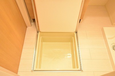 Ｃｅｒｅｚｏ．Ｏｎｅ（セレッソワン） その他13