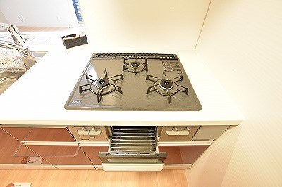 Ｃｅｒｅｚｏ．Ｏｎｅ（セレッソワン） その他17