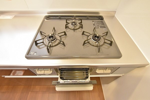 Une beau palais（ｴﾇﾎﾞｰﾊﾟﾚ）   その他23