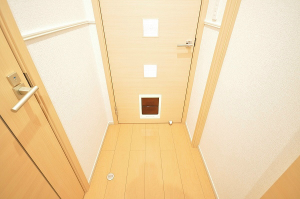 シェーナ下到津  その他20