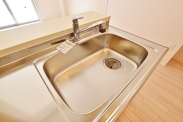 レムリア  その他18