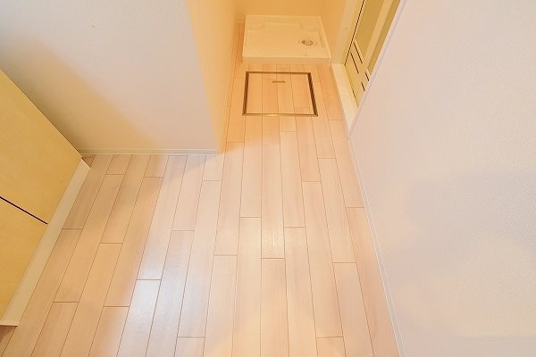レムリア  その他12