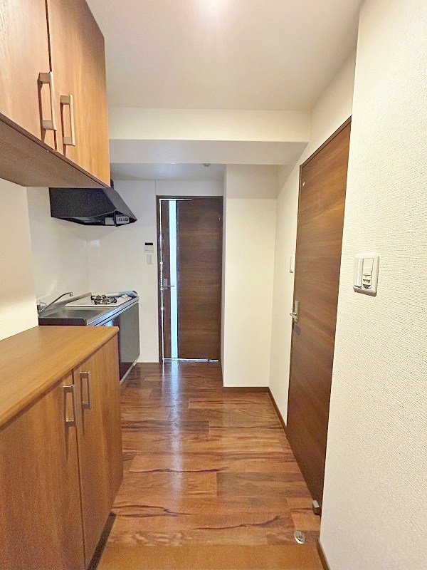 ｐｌａｉｓｉｒ(プレジール) その他10