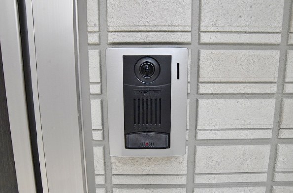 Ｆｏｒｅｓｔ　ｒｉｖｅｒ(フォレストリバー)    その他9