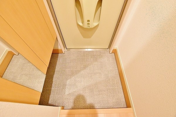 Ｆｏｒｅｓｔ　ｒｉｖｅｒ(フォレストリバー)    その他11