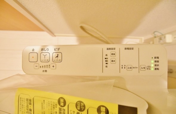 Ｆｏｒｅｓｔ　ｒｉｖｅｒ(フォレストリバー)    その他13