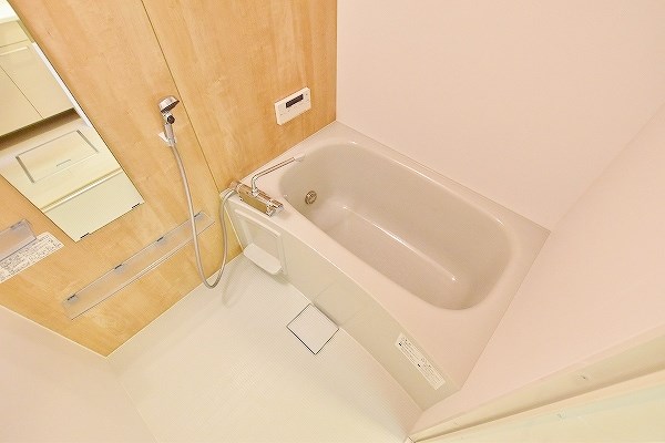 Ｆｏｒｅｓｔ　ｒｉｖｅｒ(フォレストリバー)    その他17