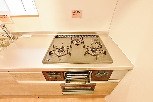 Ｆｏｒｅｓｔ　ｒｉｖｅｒ(フォレストリバー)    その他23