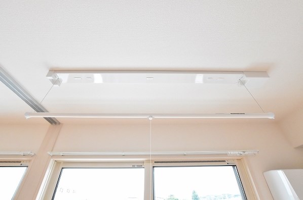 Ｆｏｒｅｓｔ　ｒｉｖｅｒ(フォレストリバー)    その他27