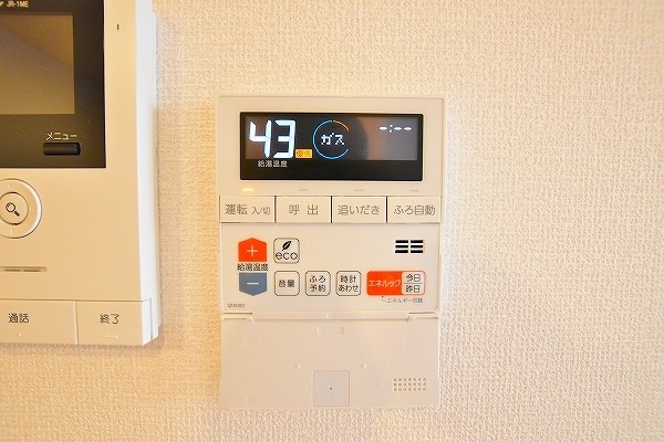 Ｆｏｒｅｓｔ　ｒｉｖｅｒ(フォレストリバー)    その他37