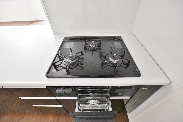 GRACEFUL中井（グレイスフル中井） その他3