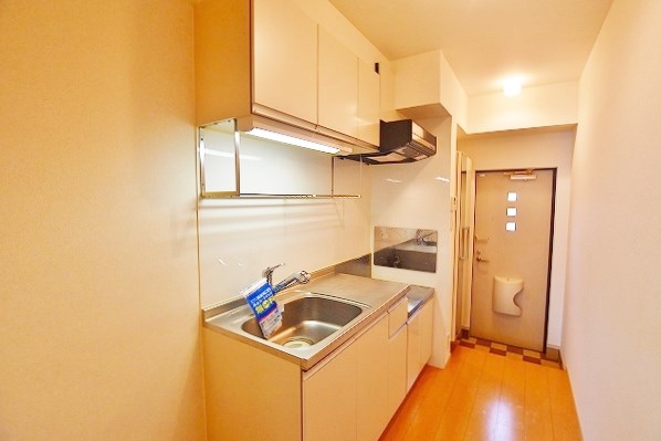 ラインハイム足立山Ａ棟 その他12