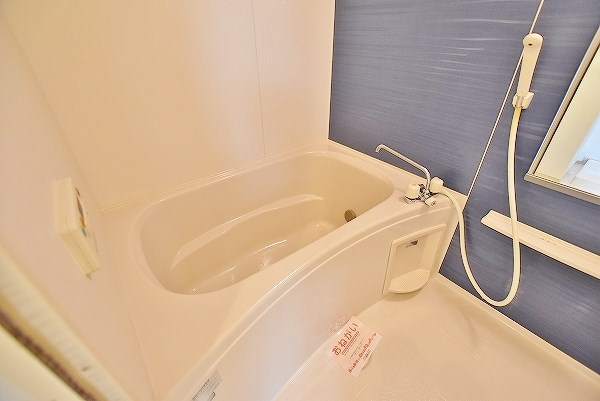 ラインハイム足立山Ａ棟 風呂画像