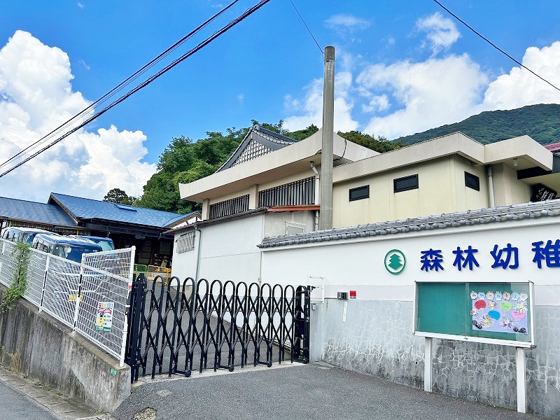 ラインハイム足立山Ｃ棟 周辺画像7