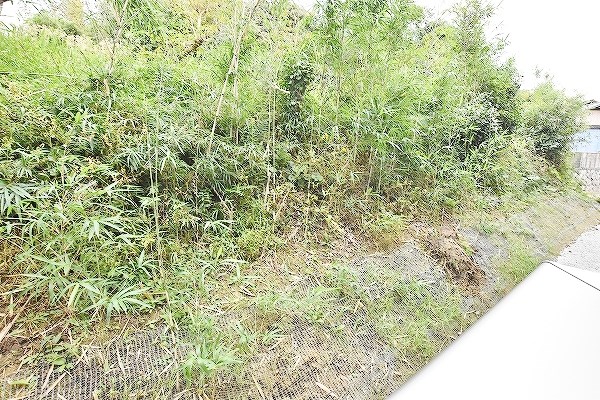 paisible　palais(ペイスブル　パレ) その他30