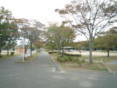 アースコートＹ&amp;rsquo;Ｓシティ下曽根駅前 周辺画像10