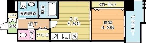 ザ・レジデンス香春口三萩野駅前 802号室 間取り