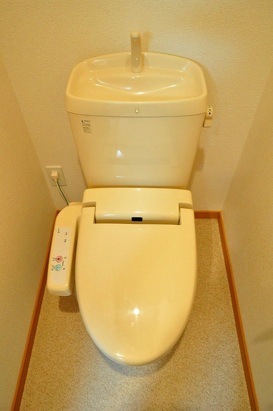 エヴァーグリーンＮ その他2