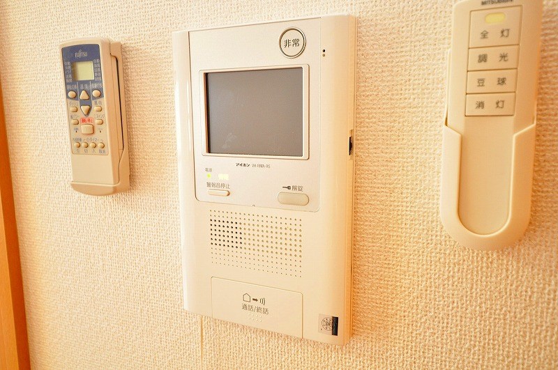 エヴァーグリーンＮ その他3