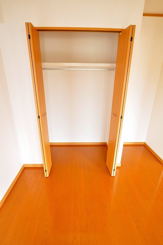 エヴァーグリーンＮ その他4