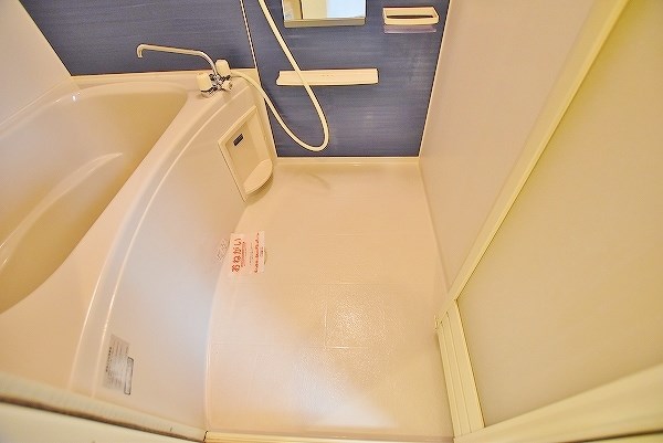 ラインハイム足立山Ａ その他39