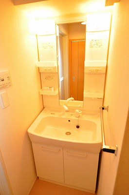 ラインハイム足立山Ｃ その他1