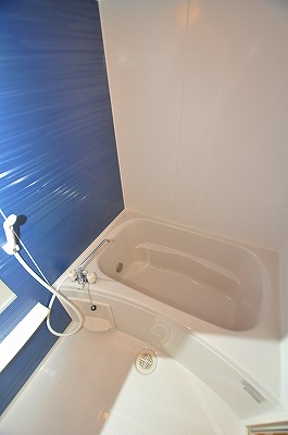 ラインハイム足立山Ｃ 風呂画像