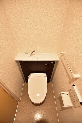 エヴァーグリーンQ その他6